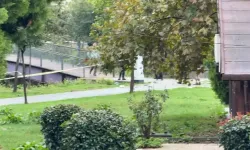 İstanbul'da yaşanan selde can kaybı 3'e yükseldi