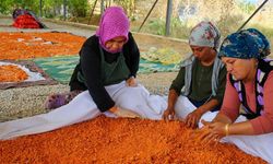 Uşaklı kadınlar imece usulüyle coğrafi işaretli tarhanayı geleceğe taşıyor