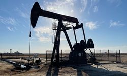 Resmî Gazete'de yayımlandı: TPAO'nun Diyarbakır'daki petrol sahası için kamulaştırma kararı