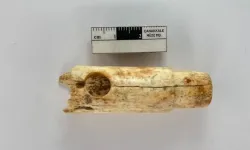 Troya'da 2 bin 800 yıllık kemik flüt ile 4 bin 500 yıllık idol başı bulundu