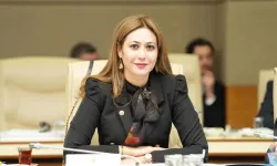 Zuhal Karakoç kimdir, kaç yaşında, nereli? MHP milletvekili trafik kazasında yaralandı