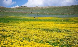 Dağcılar, Ardahan'daki Şerefin Dağı ve Üç Tepeler'i keşfetmeye başladı