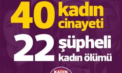 KCDP: Mayıs'ta 40 Kadın Erkekler Tarafından Öldürüldü