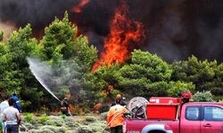 Yunanistan'daki orman yangını yerleşim birimlerini tehdit ediyor