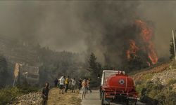 Komşu ülke Yunanistan'da orman yangınları devam ediyor