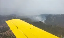Son dakika! Manisa'nın Alaşehir ilçesinde orman yangını çıktı