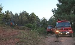 Sakarya'daki yangında 1 hektarlık ormanlık alan zarar gördü