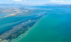 İzmir Körfezi hakkında çarpıcı rapor! Su kalitesi ortaya çıktı