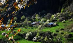 Dağ ekosistemindeki bozulma Türkiye'de su kıtlığına sebep olabilir