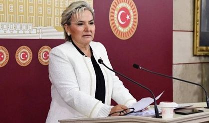İstanbul Milletvekili Nimet Özdemir CHP'den istifa etti