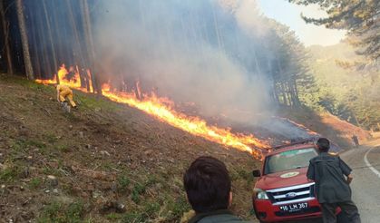 Uludağ yolu kenarında çıkan orman yangınına ekiplerden müdahale