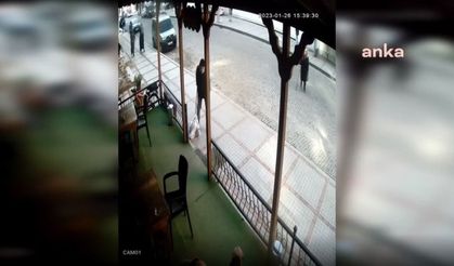 Rize'de kahvehaneye sığınan sokak köpeğine sopayla şiddet uyguladı