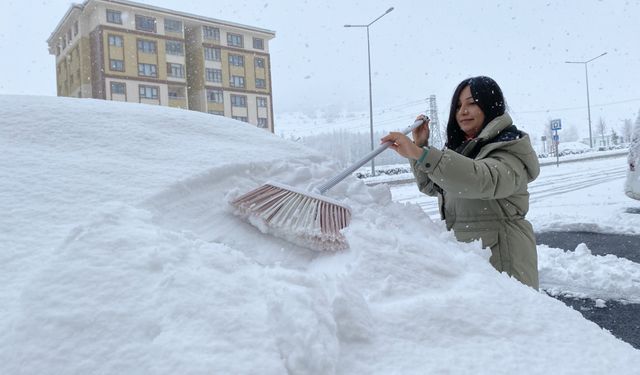 Erzurum, Ardahan, Kars, Ağrı ile Tunceli'de kar ve soğuk hava etkili oluyor