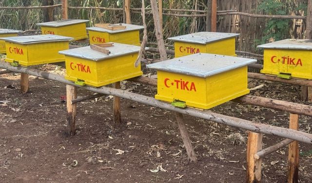 TİKA, Etiyopya'daki arıcılara modern ekipman desteği sağladı