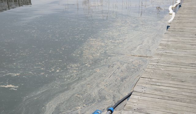 NATO petrol boru hattından gelen uçak yakıtı Sapanca Gölü'ne sızdı