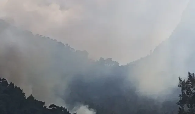 Çanakkale Valiliği'nde orman yangını uyarısı