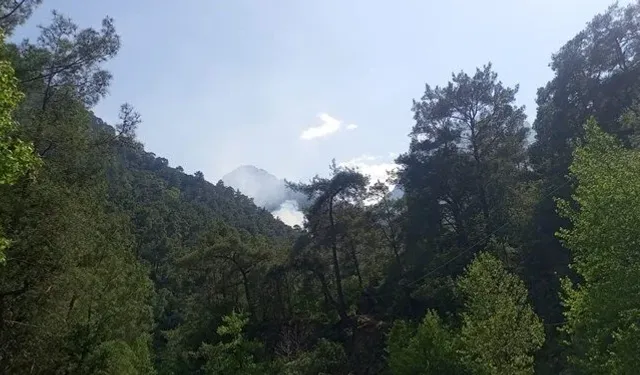 Antalya Kemer'de orman yangını: Kontrol altına alındı