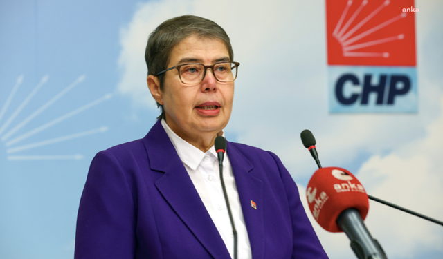 CHP Genel Başkan Yardımcısı Şahbaz: Halk sağlığı sorunu haline gelen 'sağlıkta şiddet' bir an önce çözülmeli