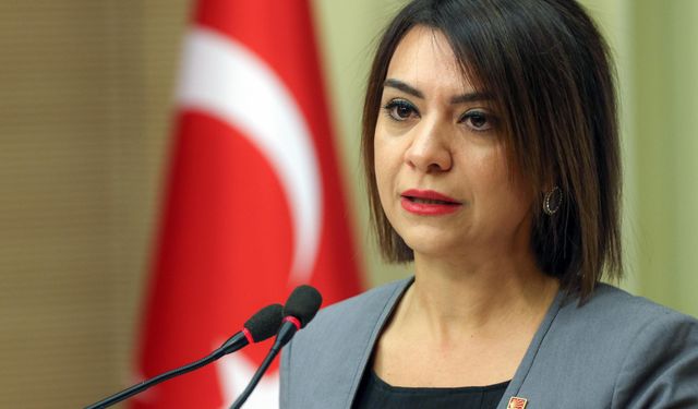 CHP'li Taşcıer'den 'Çalışma Meclisi' çıkışı: İktidar keyfine göre karar alamaz