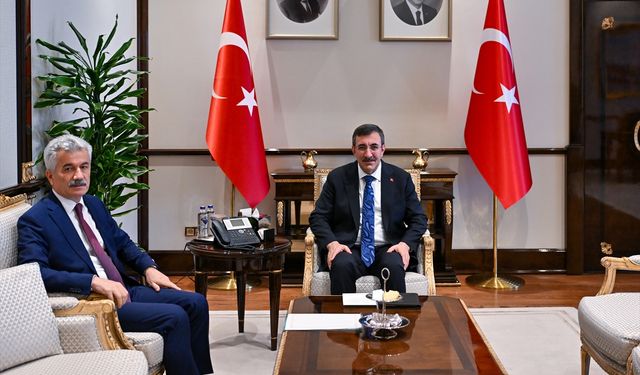 Cumhurbaşkanı Yardımcısı Yılmaz, Danıştay Başkanı Yiğit'i kabul etti