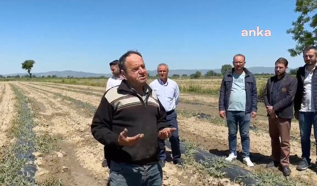 Manisalı çiftçi: Atatürk ne dediyse iktidar tersini uyguluyor, çiftçi düşmanlığı neden?