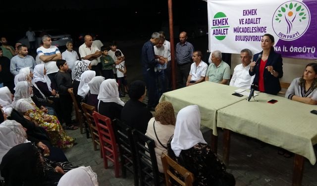 DEM Parti Eş Genel Başkanı Hatimoğulları, Adana'da ziyaretlerde bulundu