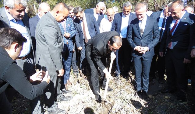 Orta'da patates hasat etkinliği düzenlendi