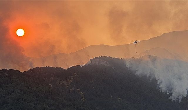 Denizli'deki orman yangını kontrol altına alındı