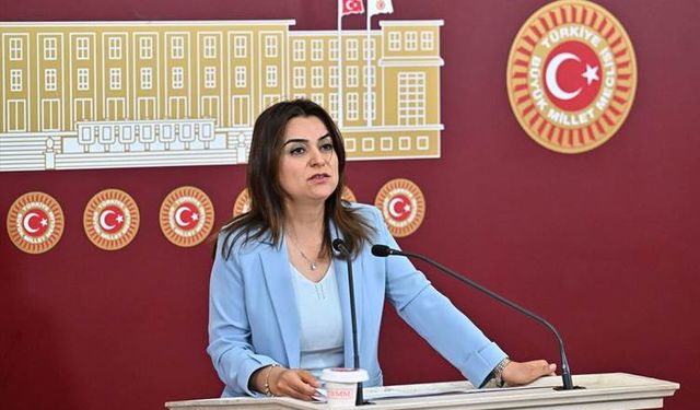 DEM Partili Koçyiğit: Ülkenin en doğusundan en batısına zulümde eşitleniyoruz