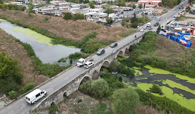 Saranlı Deresi'nde balık ölümlerine inceleme başlatıldı