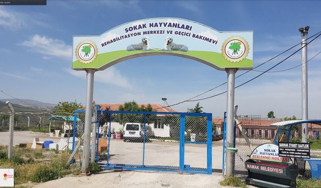 Mamak Belediyesi'nden 'barınak' açıklaması: Sorumlular görevden alınacak