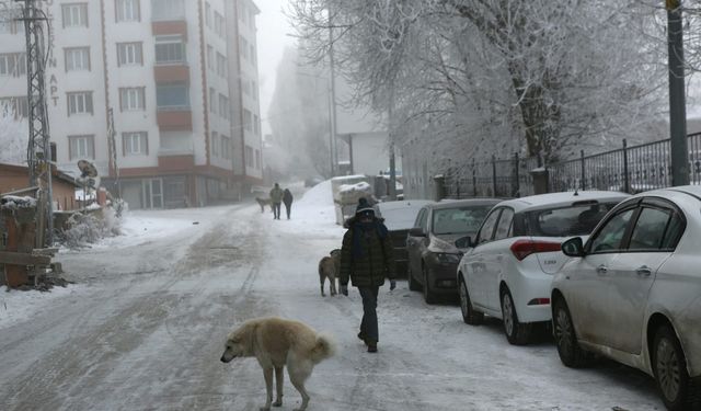 Erzurum sıfırın altında 17 dereceyle Türkiye'nin en soğuk ili oldu