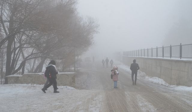 Yüksekova'da soğuk hava ve yoğun sis etkili oldu