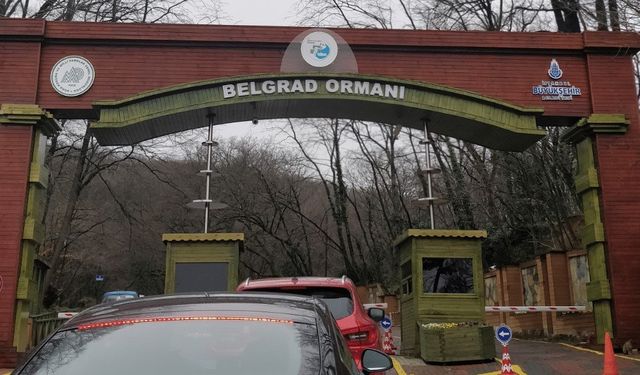 Sözleşme uzatması reddedilmişti! İBB Belgrad Ormanları'ndan tahliye edildi