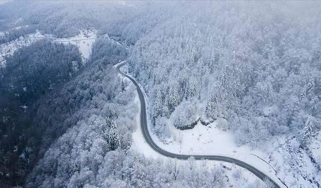 Sakarya'nın doğal güzelliği Çam Dağı beyaz örtüyle kaplandı