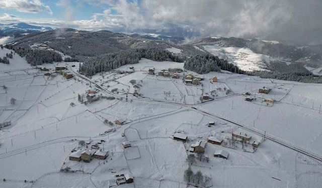 Karadeniz'de kar hayatı olumsuz etkiledi