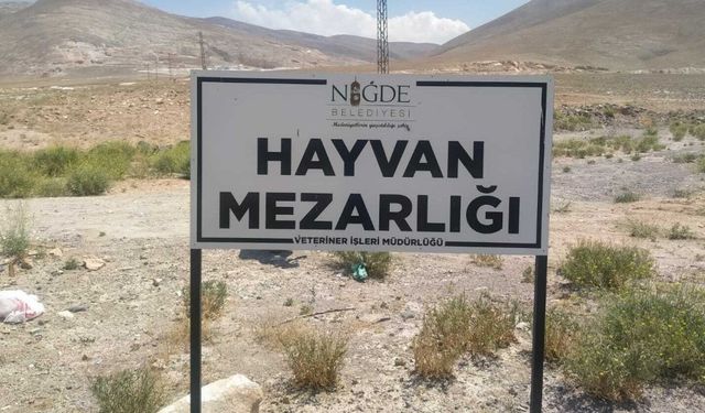 Niğde'deki köpek ölümleri üzerine mahkeme Belediye Veteriner İşleri Müdürü hakkında soruşturma izni verdi