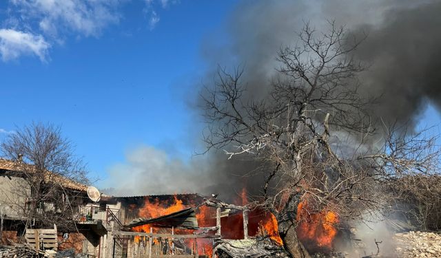 Antalya'da ağılda çıkan yangın söndürüldü