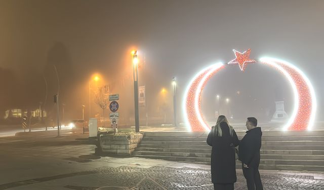 Edirne'de yoğun sis etkili oluyor