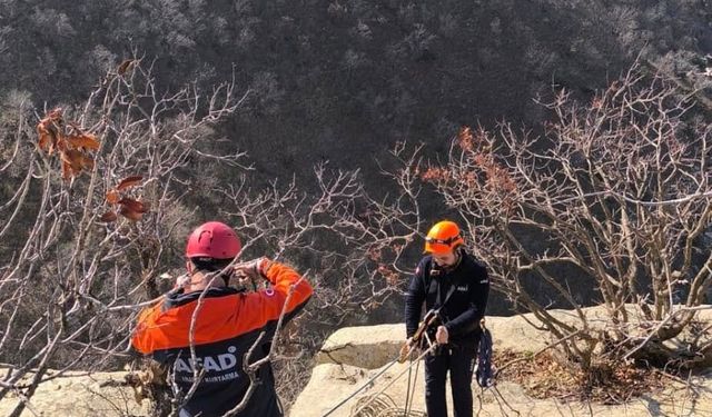 Siirt'te kayalıklarda mahsur kalan keçileri AFAD ekipleri kurtardı