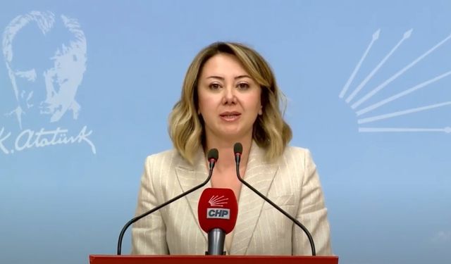 CHP'li Çiftci: İktidar yangın faciasında CHP'yi suçlu gösterme peşinde