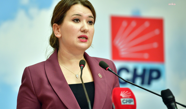 CHP’li Gökçen’den Bakan Tunç’a: Bu kez gerçekleri karartamayacaksınız