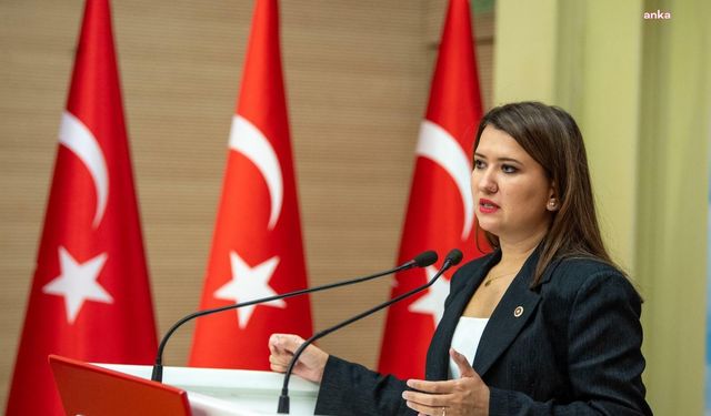 CHP'li Gökçen’den Ayşe Barım’ın gözaltına alınmasına tepki: Hepimiz Gezi’deydik