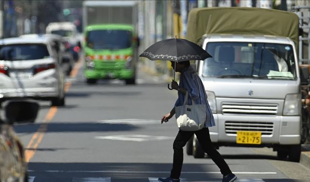 2024, Japonya'nın kayıtlara geçen en sıcak yılı oldu