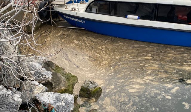 Marmara'da müsilaj alarmı