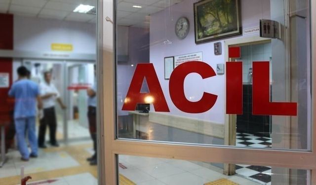 Tunceli iş kazası: İskeleden düşen 35 yaşındaki işçi hayatını kaybetti