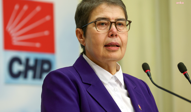 CHP'li Şahbaz'dan '10 Mayıs' mesajı: "Psikologlara meslek yasası şart"