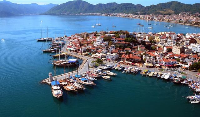 Marmaris Belediyesi’nden ‘yaban domuzu’ uyarısı