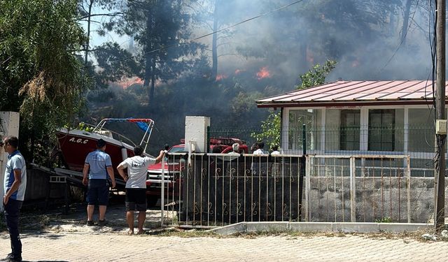 Muğla Marmaris'te ormanlık alanda yangın