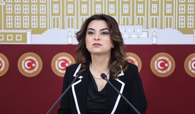 DEM Partili Koçyiğit’ten Meclis'e çağrı: Çerçeve yasa tatilden önce çıkarılsın